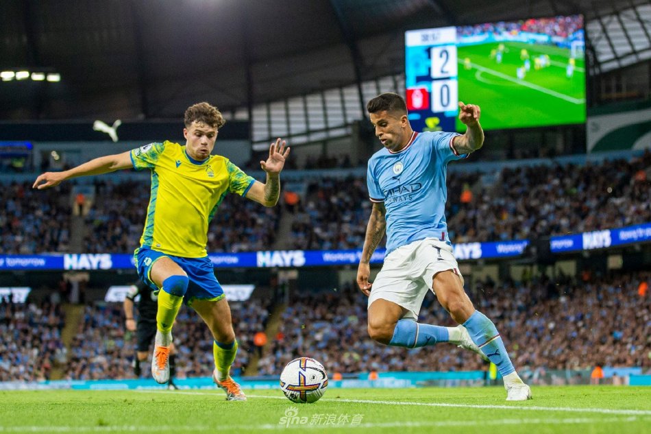 更是一位懂 更是一位懂